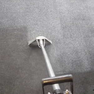 Photo of Ellis Carpet Cleaning