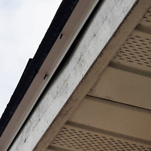 Photo of American Building Construction