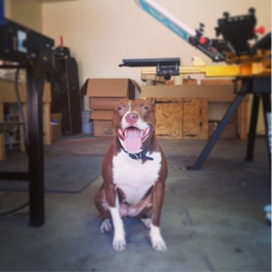 Photo of Tiger Teeth Print Co.