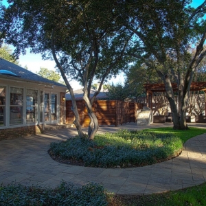 Photo of Suburban Oasis