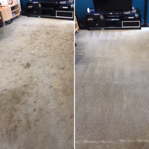 Canberra A.C.T. Carpet Cleaners