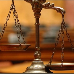 Photo of Action Paralegal
