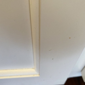 San Francisco Accent Cleaning 415