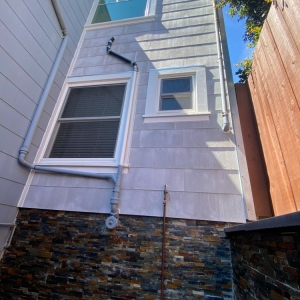 San Carlos Abstract Windows