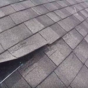 Photo of Jacksonville Roofing Repair