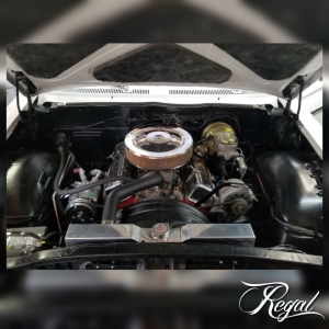 Photo of Regal Fine Automotive Detailing