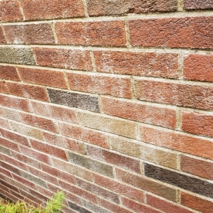 Photo of Dr Sweep