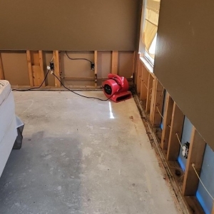 Photo of Rapid Restoration Texas