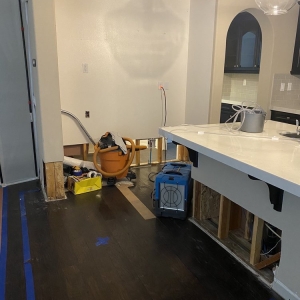 Photo of Ecopure Restoration