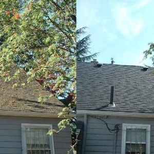 Photo of All Surface Cleaning Company