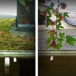 Photo of All Surface Cleaning Company