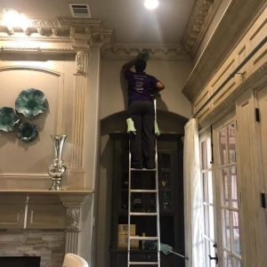 Photo of T & Z Building Maintenance