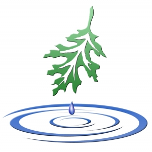 Photo of Meliora Design