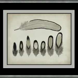 Photo of FASTFRAME
