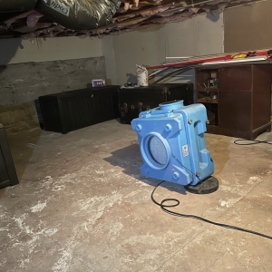 Photo of Bordi Restoration
