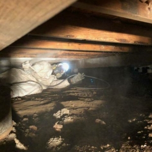 Photo of Bordi Restoration