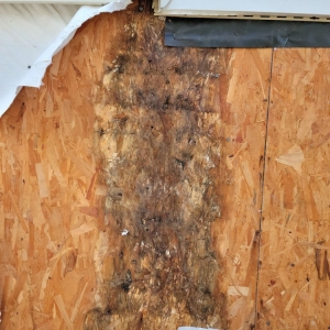 Photo of Beach Windows & Siding