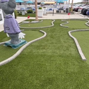 Photo of Fairway Turf & Artificial Grass