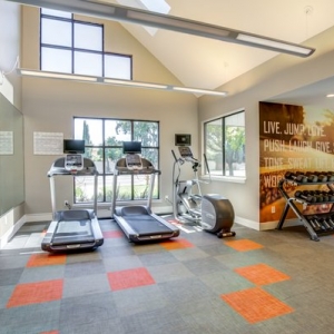 Photo of Avana San Jose