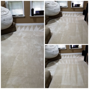 Photo of OMA Professional Cleaning Technicians