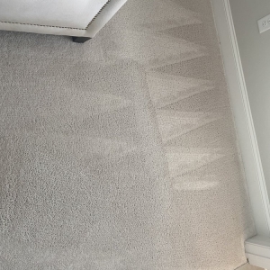 Photo of The Carpet Cleaning Company