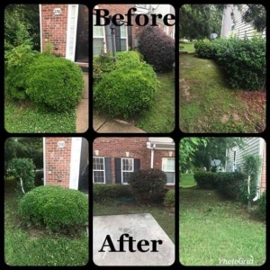 Photo of Bleakworld Lawn Care and Treatment Service