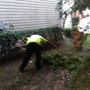 Photo of Bleakworld Lawn Care and Treatment Service