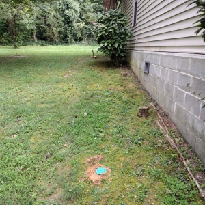 Photo of All above pest solutions