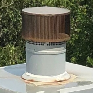 Photo of Wolfman Chimney & Wildlife