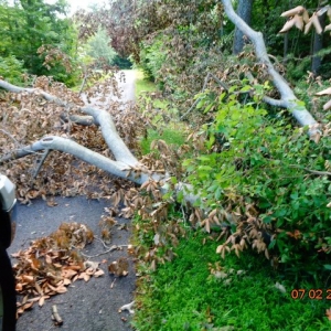 Photo of RM Property Services