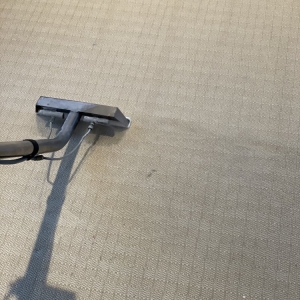 Photo of My Carpet Cleaning