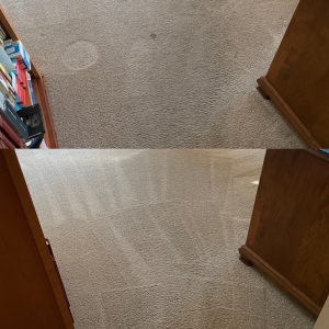 Photo of My Carpet Cleaning