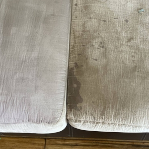 Photo of My Carpet Cleaning