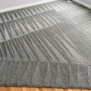 Photo of My Carpet Cleaning