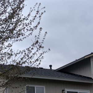 Photo of Eastside Roofing