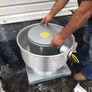 Photo of All Purpose Cleaner