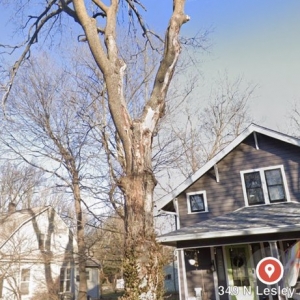 Photo of Fred & Son's Hauling & Tree Removal