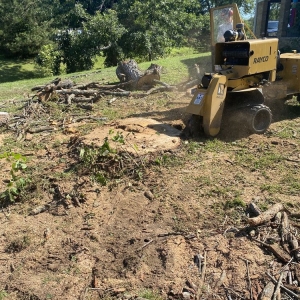 Photo of Fred & Son's Hauling & Tree Removal