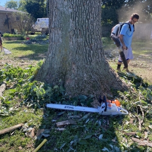 Photo of Fred & Son's Hauling & Tree Removal