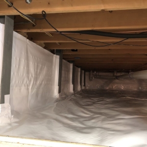 Photo of The Basement Doctor