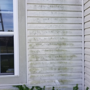 Photo of Forza Roof Cleaning