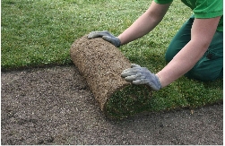 Photo of All Seasons Lawn Maintenance