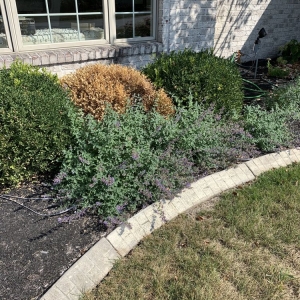 Photo of 317Grow