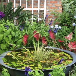 Photo of Blooming Gardens