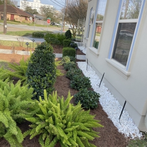 Photo of Blooming Gardens