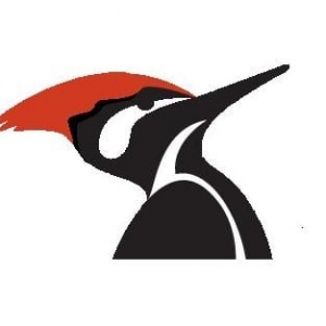 Photo of Woodpecker Construction