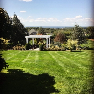 Photo of Brother Nature Tree & Landscape