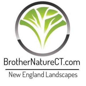Photo of Brother Nature Tree & Landscape