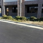 Photo of Landscape Solutions & Design