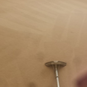Photo of A Brighter Carpet